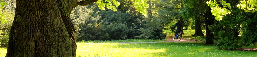 conni_eyrich_0005_Ebene 19.jpg